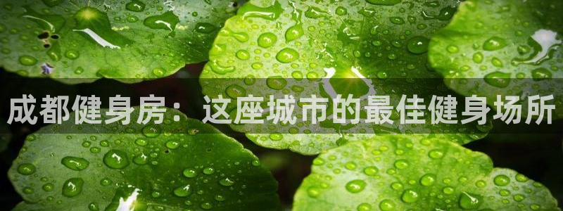 龙8老虎机手机版