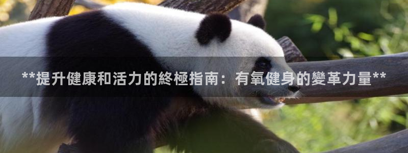 国际龙8官方网站