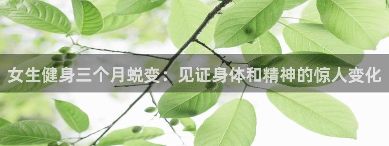 龙8国际游戏官网