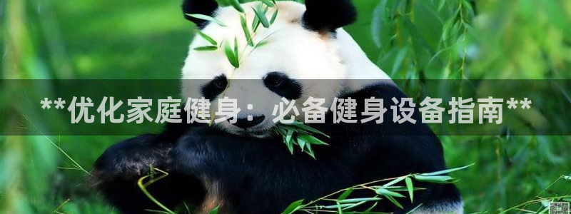 龙八国际pt