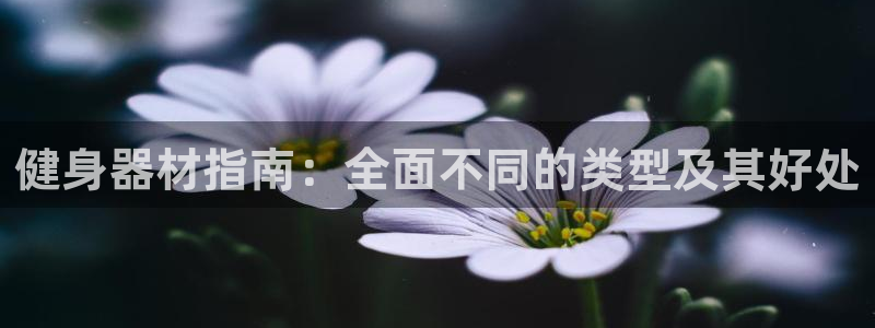 龙8国际客服
