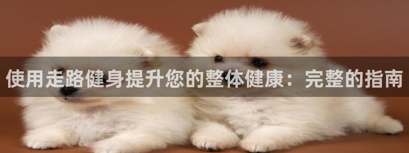 龙8国际网站是多少