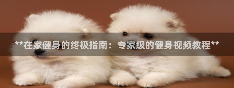 龙8国际玩家