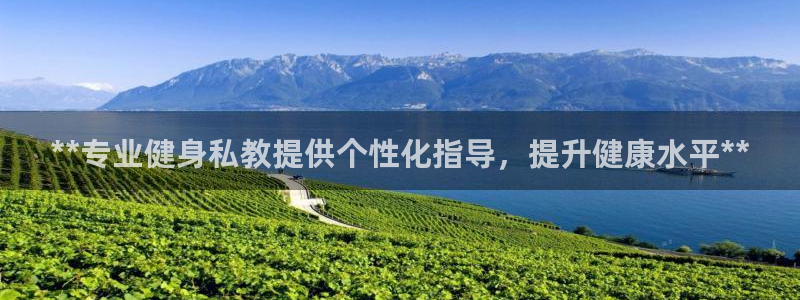 龙8国际游资如何