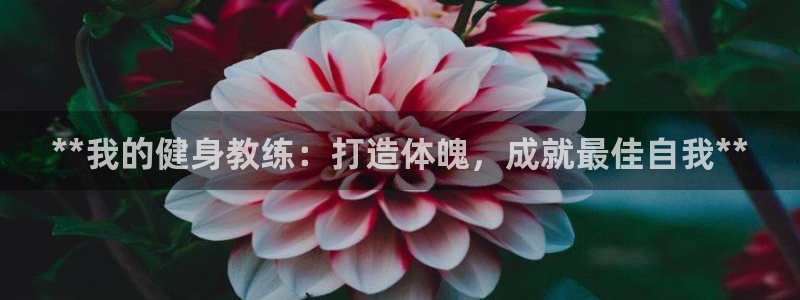 龙8游戏平台官方