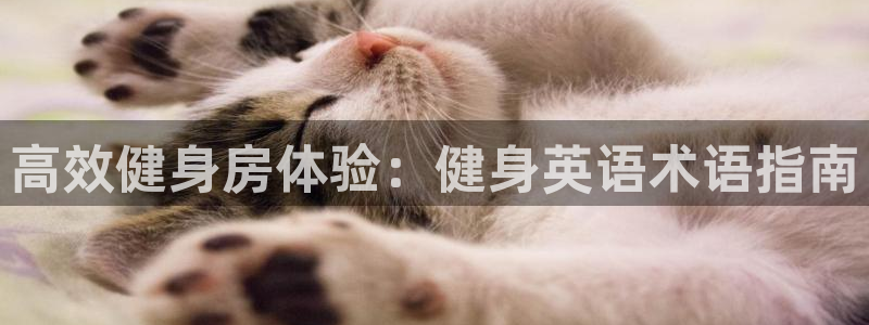 龙8国际pt网址