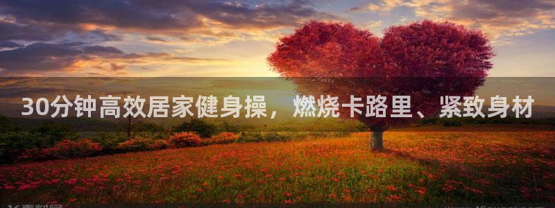 龙8游戏官方网站q