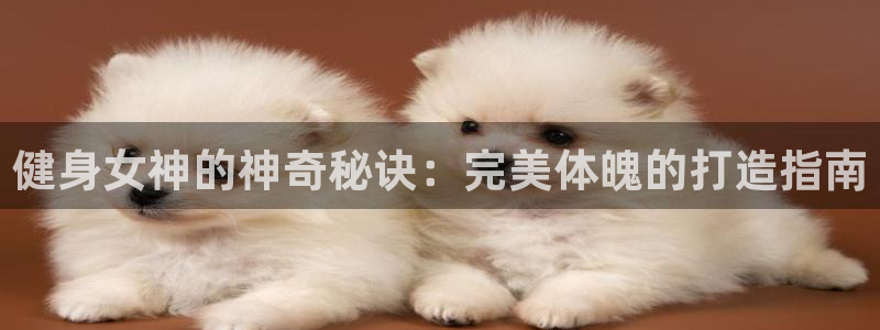 龙8国际头号玩家