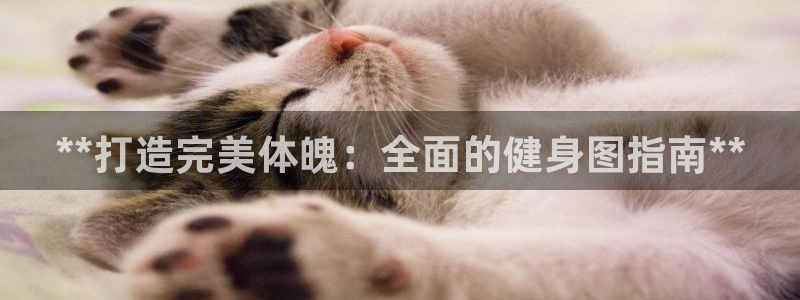 龙8国际怎么下载