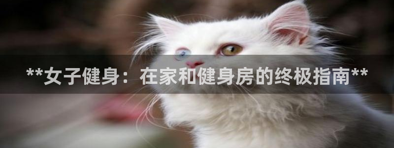 国际龙8官方网站
