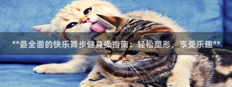 龙8国际棋牌