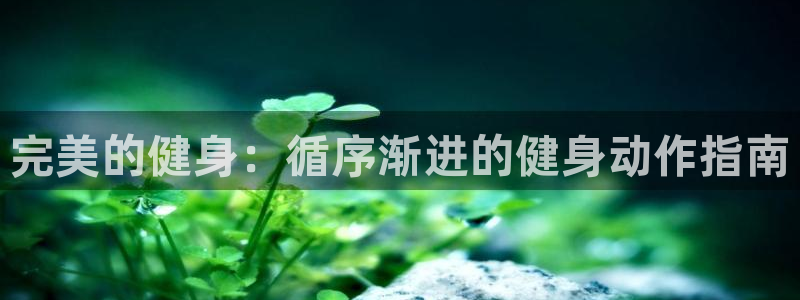 龙8国际官网 点此进入
