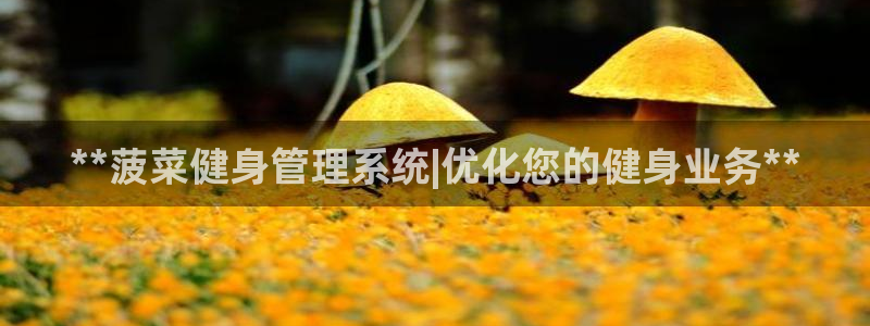 龙8游戏官方网站s