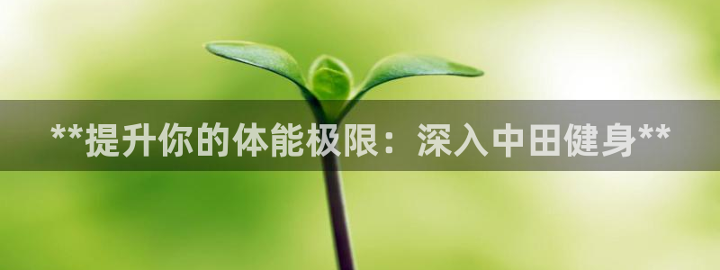 龙8国际手机版app