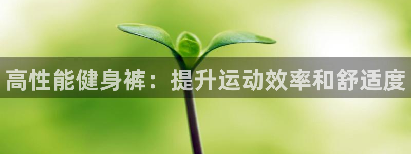 龙8国际版