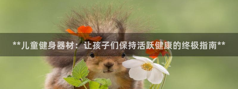 龙8国际龙8客户端