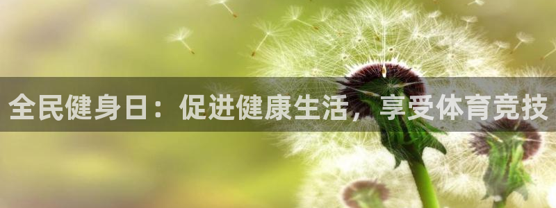 龙 八国际