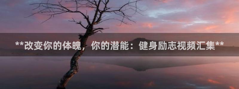 国际龙8hk