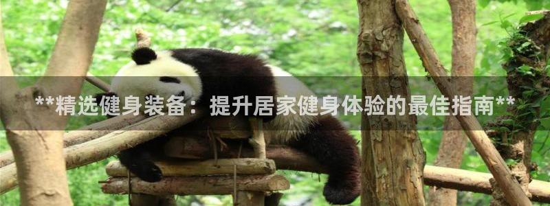 龙8国际app客户端下载不了