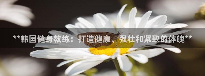 龙8国际棋牌