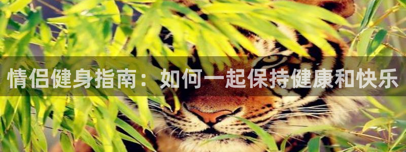 龙八国际唯一官网