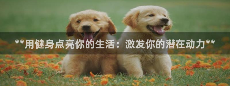 龙8老虎机游戏网站多少