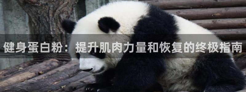 国际龙8官方网站