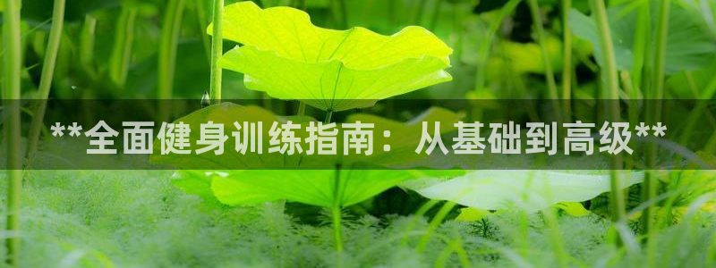 龙八国际娱乐在线游戏
