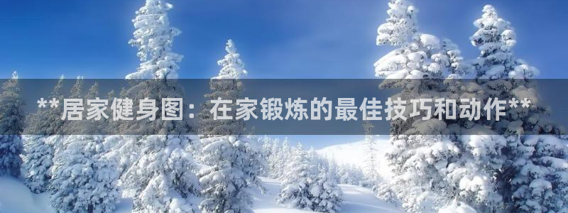龙8官网国际