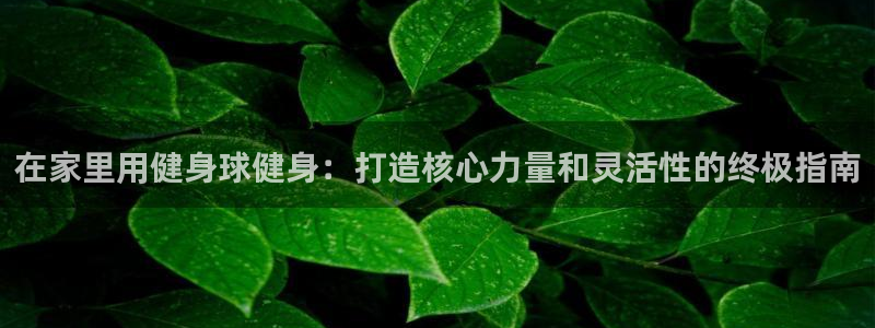 龙八国际2018最新官网