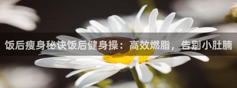龙8国际在线
