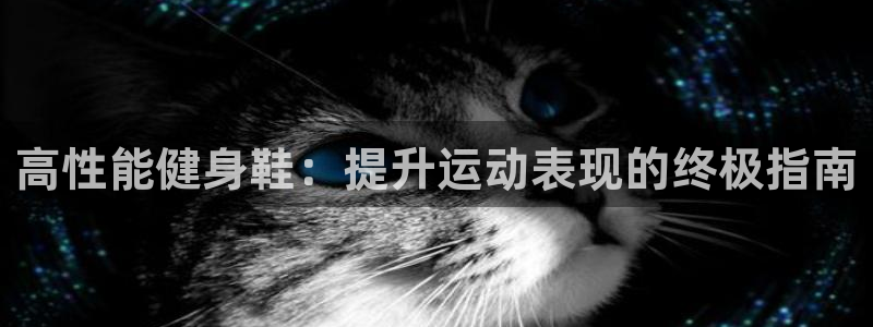 龙8国际中国官方网站