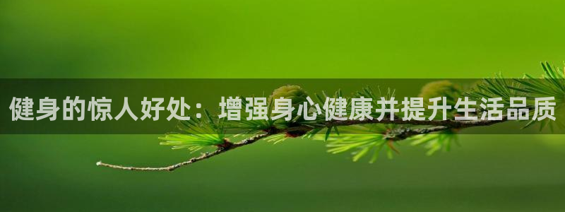 龙8游戏官方进入