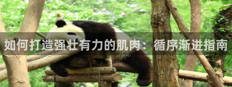 龙8国际手机版官网下载