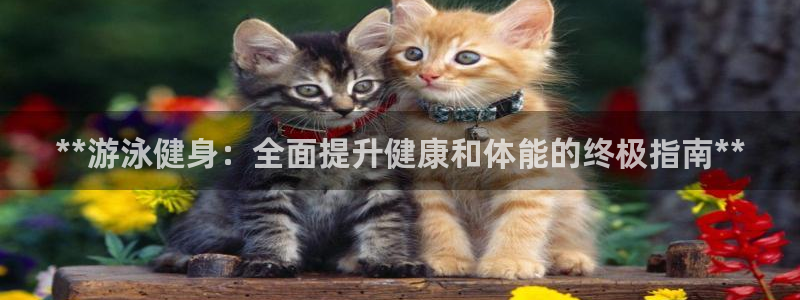 龙8国际app 下载