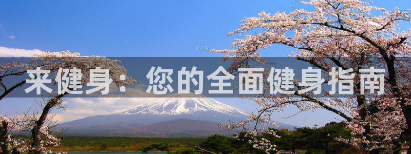 龙8国际ing