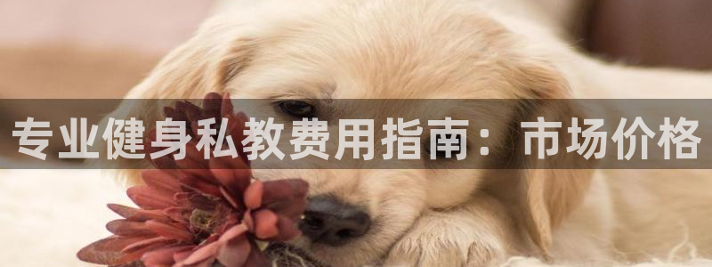 龙八国际娱乐老板是谁