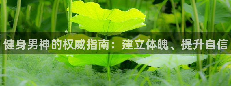 龙8国际long88(中国)官方网站