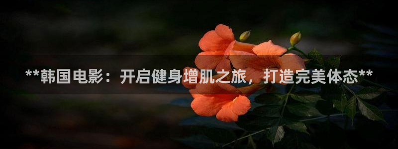 龙8国际手机登