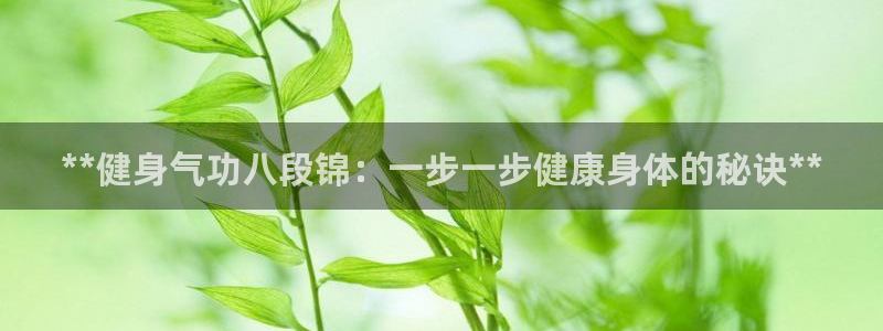 龙8游戏平台的网站
