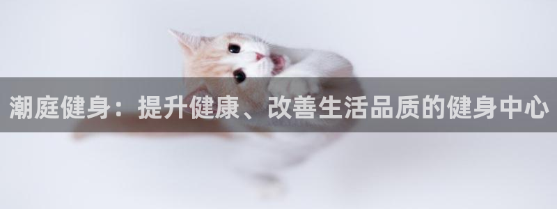 龙八国际2018最新官网