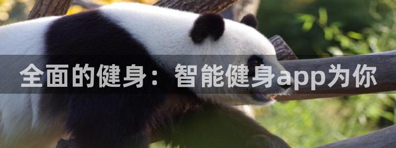 龙8国际老虎机娱乐