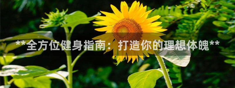 龙8游戏官方进入
