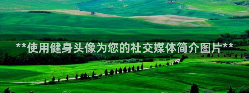 龙8国际老虎机电子