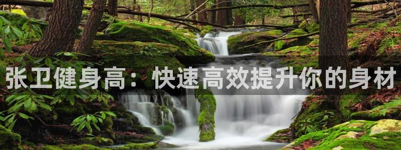 国际龙8官网pt客户端