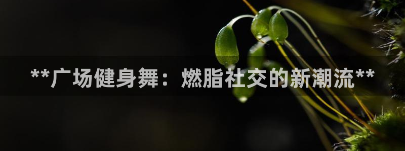 龙八国际娱乐老板是谁