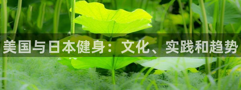 龙8国际现金