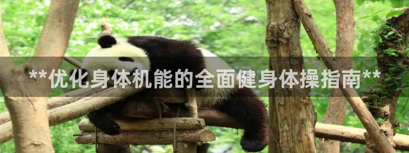 龙8电子游艺网址多少