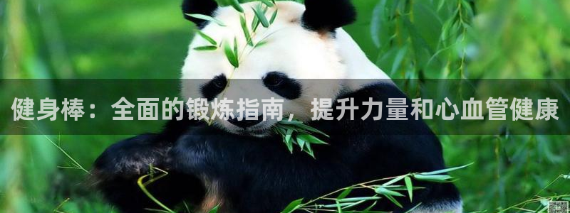 龙8国际正规吗