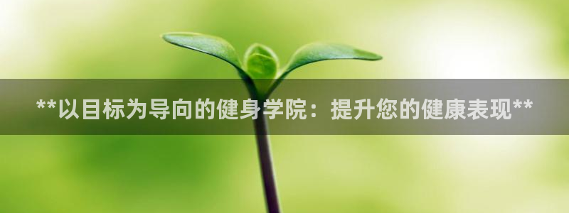 龙8国际手机游戏官网